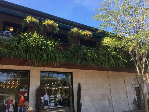 Park Plaza Hotel Orlando - Winter Park image 16